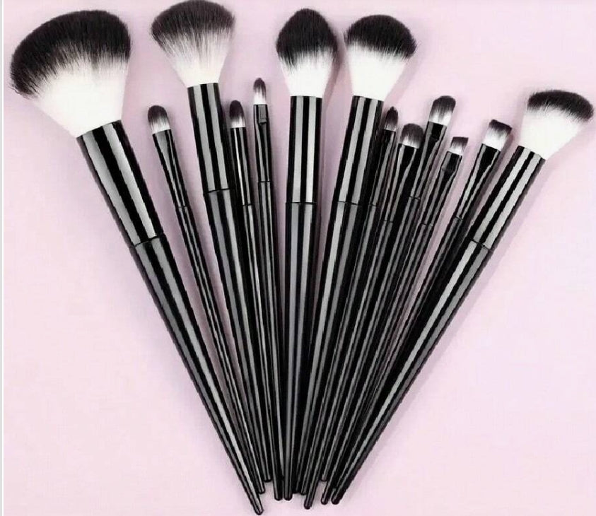 Large Luxury 13 brush Brush Set